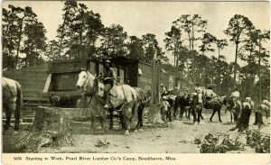 Pearl River Lumber Co